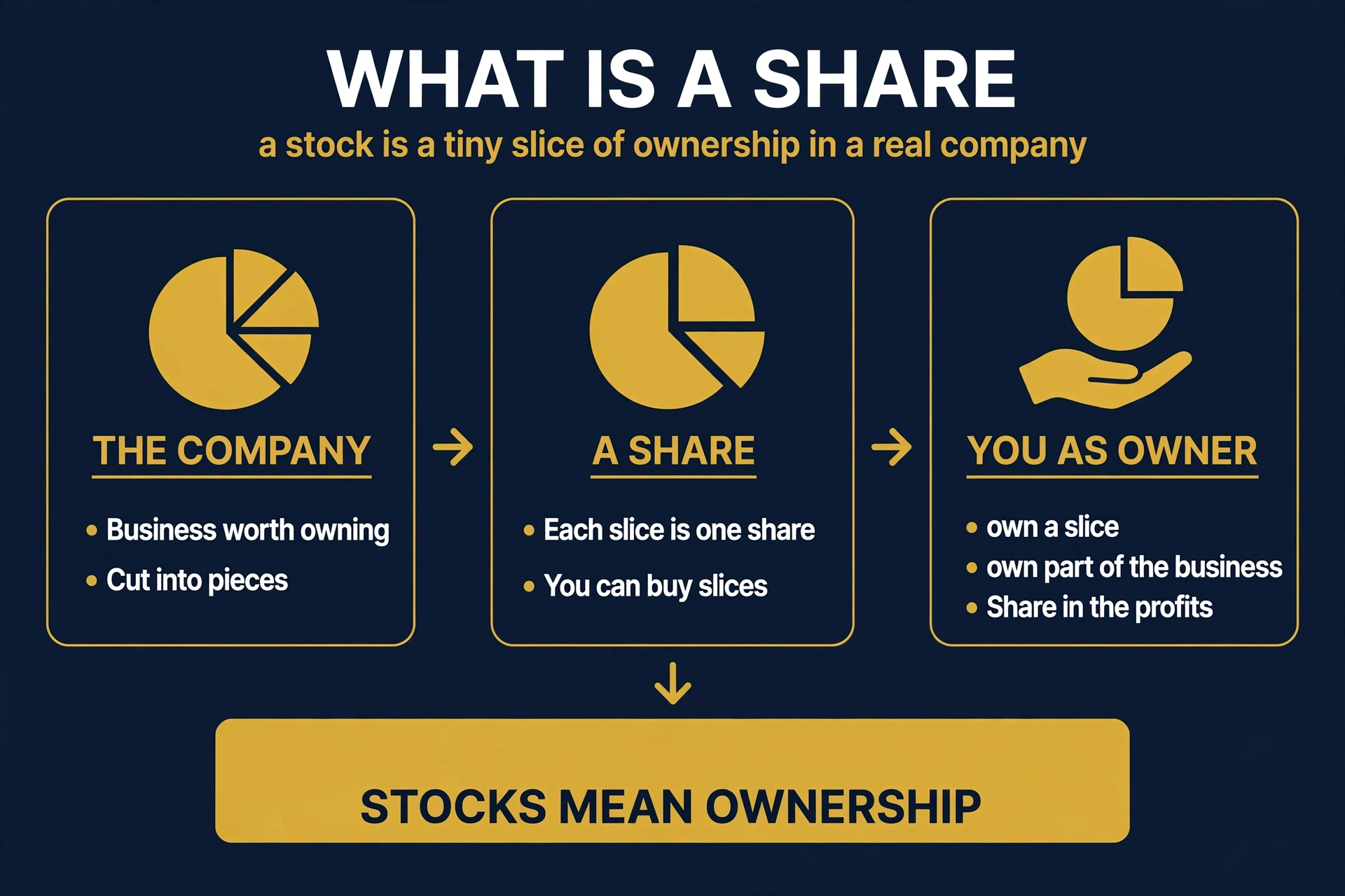 Share ownership: a company pie divided into slices, one slice held by you as a shareholder